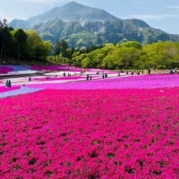 フラワーサロン　リシェス