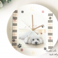 スタジオ＊ブルーグラス