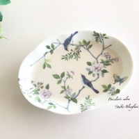 スタジオ＊ブルーグラス