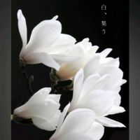 みきぼう～Sucre～