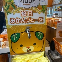 Ribon Ribon