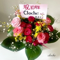 cloche (クロチェ)