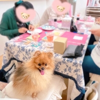 M＊Ruban（エムリュバン)・ 広島