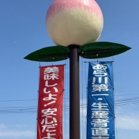 Ribon Ribon