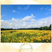 Rosery