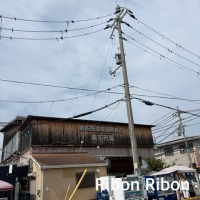 Ribon Ribon
