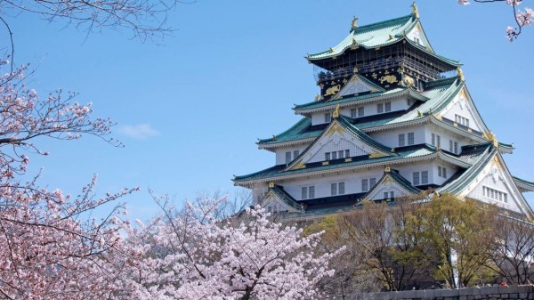 大阪城桜